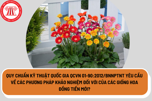 Quy chuẩn kỹ thuật quốc gia QCVN 01-90:2012/BNNPTNT yêu cầu về các phương pháp khảo nghiệm đối với của các giống hoa đồng tiền mới?