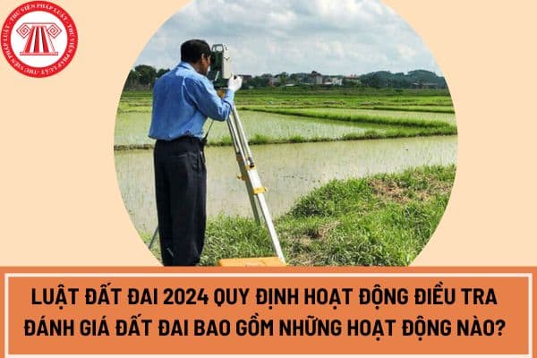 Luật Đất đai 2024 quy định hoạt động điều tra đánh giá đất đai bao gồm những hoạt động nào?