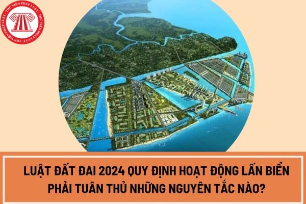 Luật Đất đai 2024 quy định hoạt động lấn biển phải tuân thủ những nguyên tắc nào?