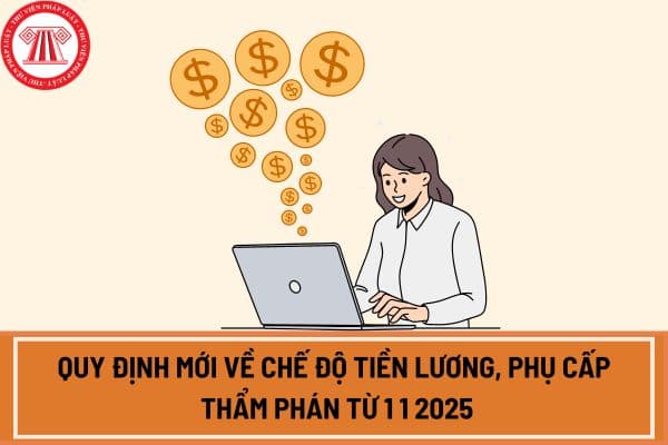 Quy định mới về chế độ tiền lương, phụ cấp của Thẩm phán từ 1 1 2025 theo Luật Tổ chức Tòa án nhân dân 2024 như thế nào?