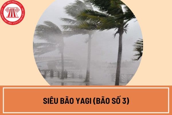 Siêu bão YAGI đổ bộ vào tỉnh nào? Cập nhật thông tin mới nhất về siêu bão YAGI (bão số 3) 2024?