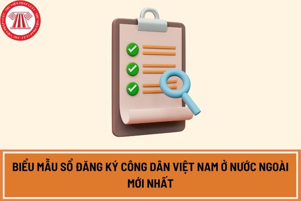 Biểu mẫu sổ đăng ký công dân Việt Nam ở nước ngoài mới nhất theo Thông tư 06/2023/TT-BNG? 