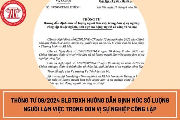 Thông tư 09 2024 BLĐTBXH hướng dẫn định mức số lượng người làm việc trong đơn vị sự nghiệp công lập lĩnh vực lao động, xã hội thế nào?