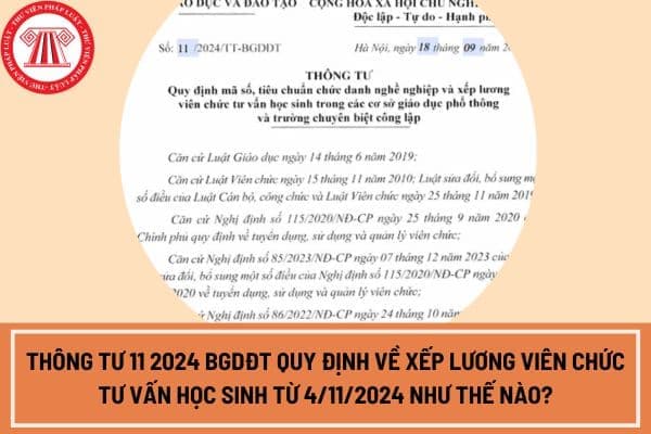 Thông tư 11 2024 BGDĐT quy định về xếp lương viên chức tư vấn học sinh từ 4/11/2024 như thế nào?