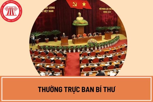 Thường trực Ban Bí thư là gì? Thường trực Ban Bí thư có những quyền gì theo quy định hiện nay?