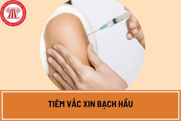 Tiêm vắc xin bạch hầu đối với người lớn như thế nào?