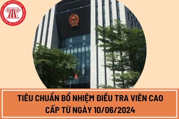 Tiêu chuẩn bổ nhiệm điều tra viên cao cấp từ ngày 10/06/2024 theo Thông tư mới nhất