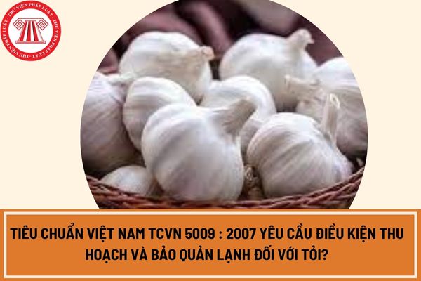 Tiêu chuẩn Việt Nam TCVN 5009 : 2007 yêu cầu điều kiện thu hoạch và bảo quản lạnh đối với tỏi?
