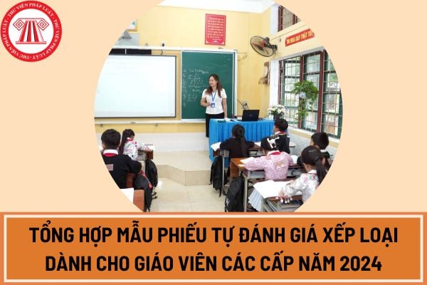 Tổng hợp mẫu phiếu tự đánh giá xếp loại dành cho giáo viên các cấp năm 2024?