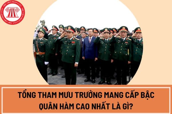 Tổng tham mưu trưởng mang cấp bậc quân hàm cao nhất là gì? Tổng tham mưu trưởng do ai bổ nhiệm?