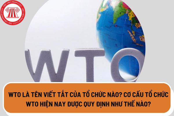 WTO Là thương hiệu viết lách tắt của tổ chức triển khai nào? Cơ cấu tổ chức triển khai WTO lúc bấy giờ được quy lăm le như vậy nào?