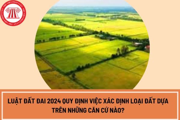 Luật Đất đai 2024 quy định việc xác định loại đất dựa trên những căn cứ nào?