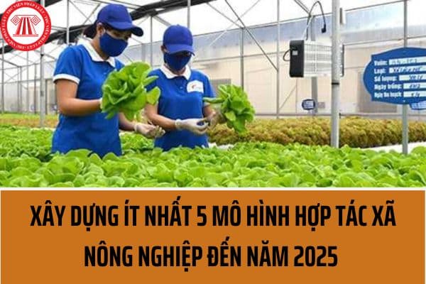 Xây dựng ít nhất 300 mô hình hợp tác xã nông nghiệp hoạt động hiệu quả