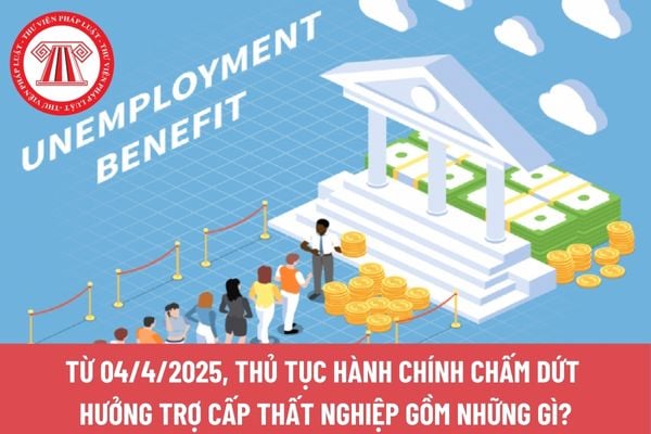 Pháp luật