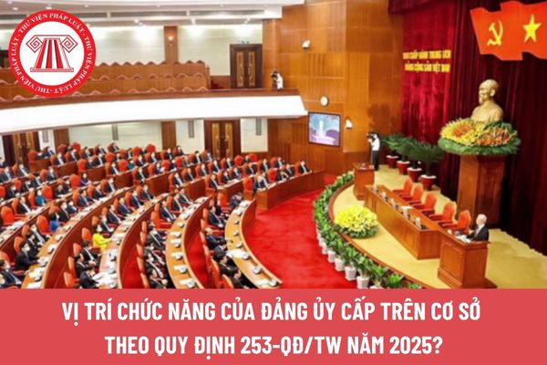Pháp luật
