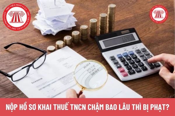 Pháp luật