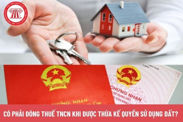 Pháp luật