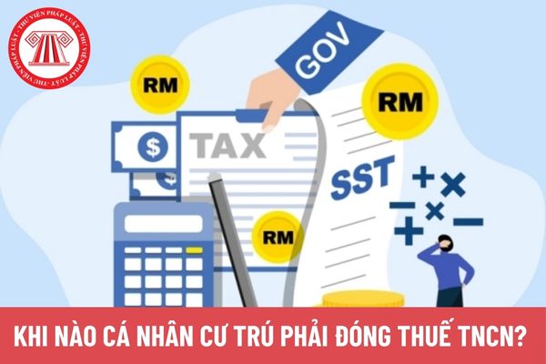 Pháp luật