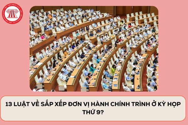 Pháp luật