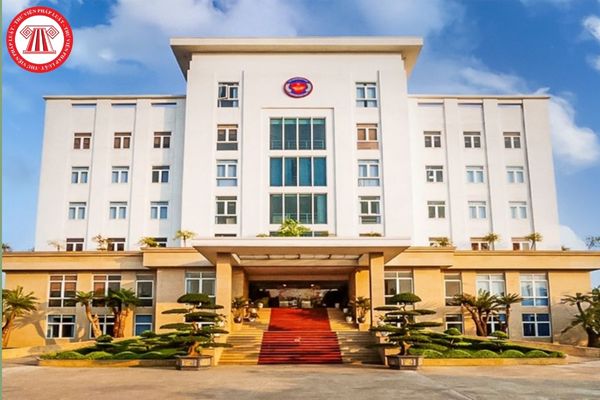 Pháp luật