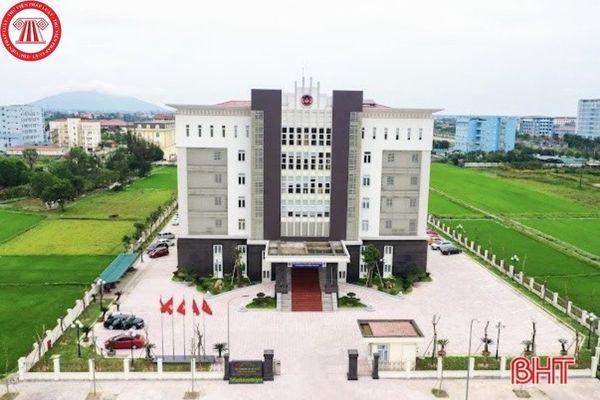 Pháp luật
