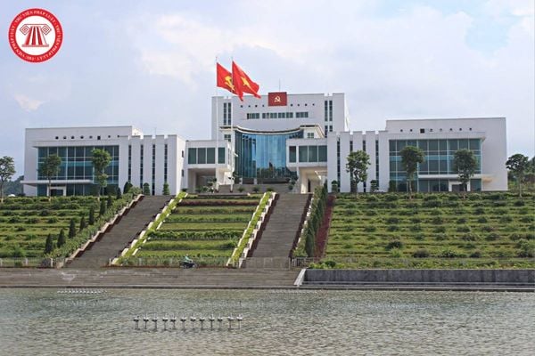 Pháp luật