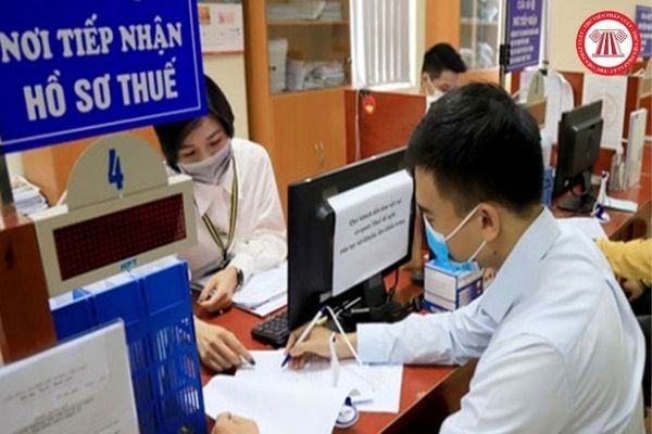 Pháp luật