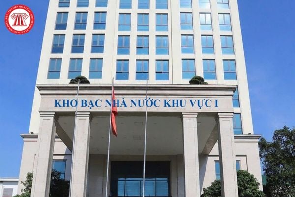 Pháp luật