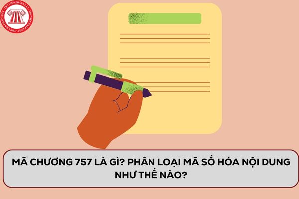 Pháp luật
