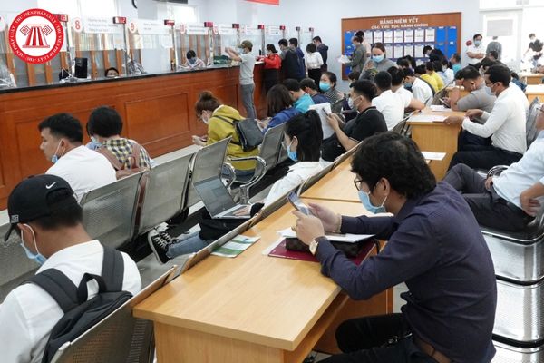 Pháp luật