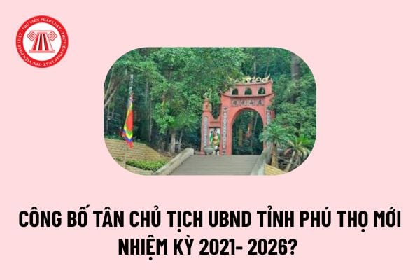 Pháp luật