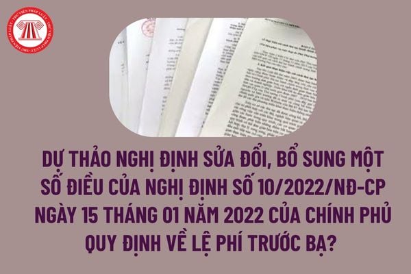 Pháp luật