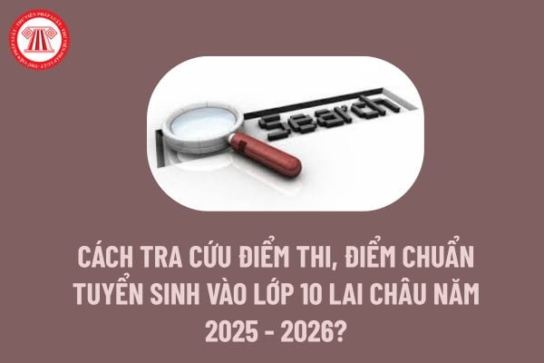 Pháp luật