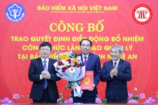 Có bao nhiêu đơn vị chuyên môn giúp việc cho Tổng Giám đốc Bảo hiểm xã hội Việt Nam ở trung ương?