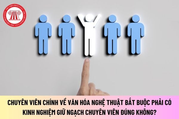 Chuyên viên chính về văn hóa nghệ thuật bắt buộc phải có kinh nghiệm giữ ngạch chuyên viên đúng không?