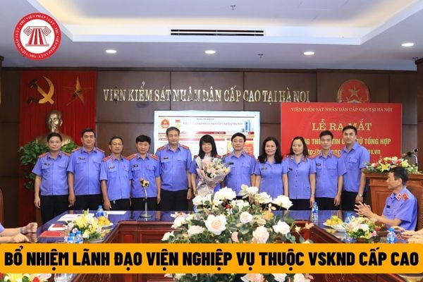 Việc bổ nhiệm lãnh đạo Viện nghiệp vụ thuộc Viện kiểm sát nhân dân cấp cao được thực hiện như thế nào?