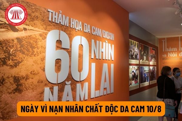 Ngày vì nạn nhân chất độc da cam là ngày 10 tháng 8 hàng năm đúng không? Con đẻ người nhiễm chất độc da cam được hỗ trợ để theo học đến trình độ nào?