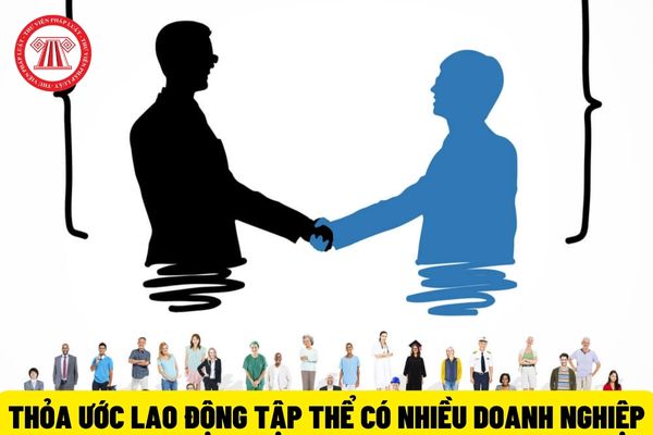 Doanh nghiệp được ký thỏa ước lao động tập thể có nhiều doanh nghiệp khi có bao nhiêu % số người được lấy ý kiến biểu quyết tán thành?