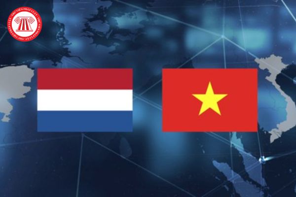 Ban Chấp hành Hội Hữu nghị và Hợp tác Việt Nam Hà Lan được thành lập như thế nào? Có những nhiệm vụ và quyền hạn gì?