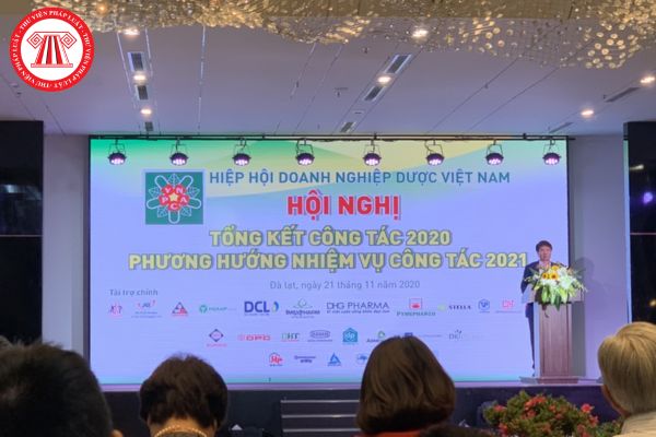 Hiệp hội Doanh nghiệp Dược Việt Nam chịu sự quản lý nhà nước của những cơ quan, đơn vị nào theo quy định?