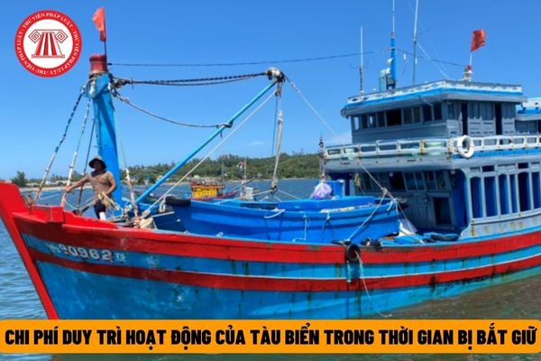 Sau khi bị bắt giữ tàu biển có phải chủ tàu sẽ phải chịu các chi phí liên quan đến việc duy trì hoạt động của tàu biển trong thời gian bị bắt giữ không?