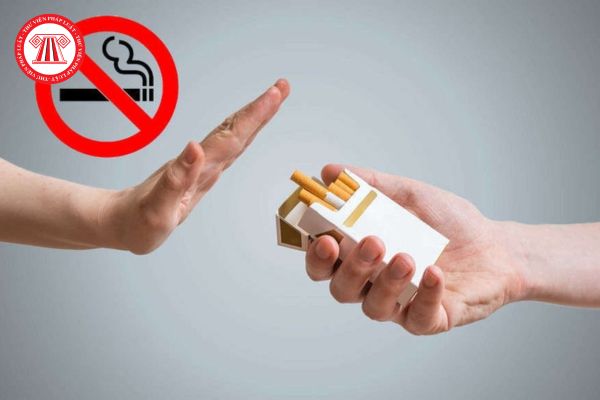 Phòng Giám sát và đánh giá thuộc Cơ quan Điều hành Quỹ phòng, chống tác hại của thuốc lá thực hiện chức năng gì?