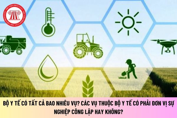 Bộ Nông nghiệp và Phát triển nông thôn có những đơn vị sự nghiệp công lập nào? Thực hiện chức năng gì?