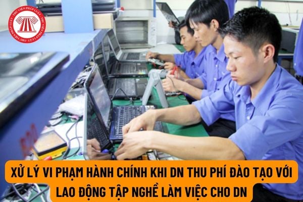 Doanh nghiệp hướng dẫn tập nghề cho người lao động thì có được thu học phí không? Nếu không mà thu thì bị phạt bao nhiêu?