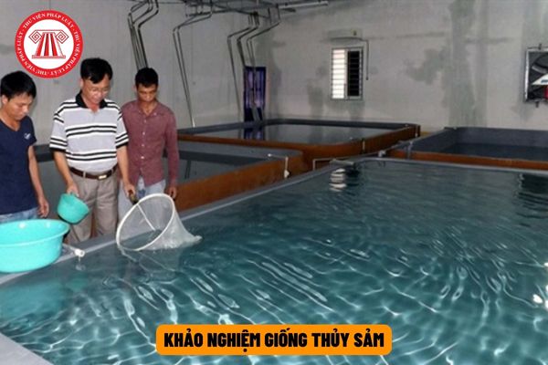 Đơn đăng ký khảo nghiệm giống thủy sản là mẫu nào? Thời gian công nhận kết quả khảo nghiệm là bao lâu?