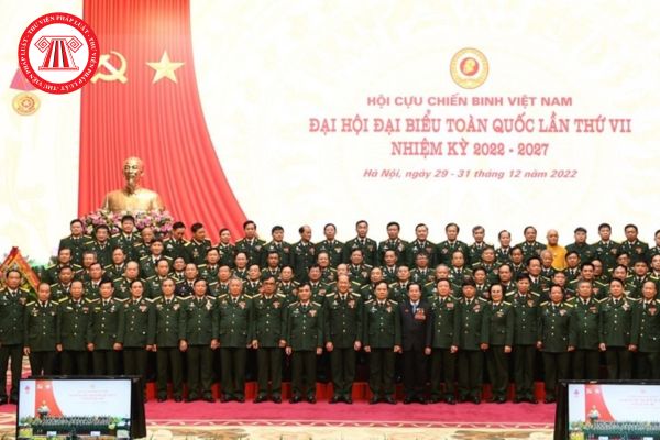 Hội Cựu chiến binh Việt Nam được tổ chức theo mấy cấp? Có thể thành lập Hội tại doanh nghiệp không?