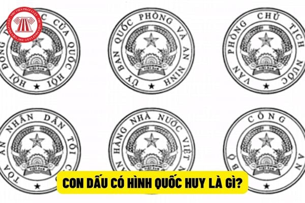 Con dấu có hình Quốc huy là gì?