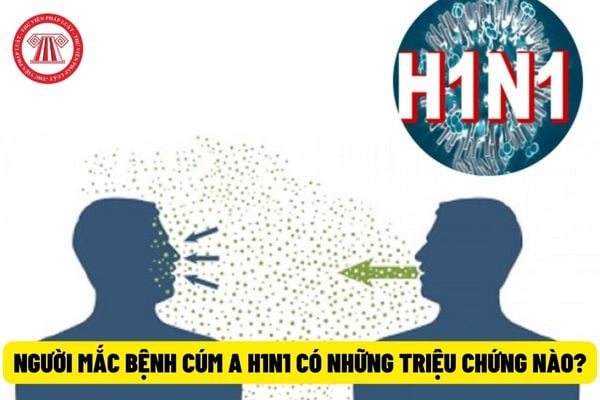 Người mắc bệnh cúm A H1N1 có những triệu chứng nào? Khi nghi ngờ mắc bệnh cúm A H1N1 người bệnh phải xử lý ra sao?