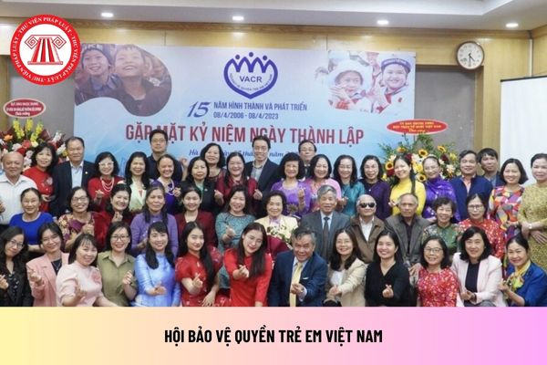 Ngày thành lập Hội Bảo vệ quyền trẻ em Việt Nam là ngày nào? Hội chịu sự quản lý nhà nước của cơ quan nào?