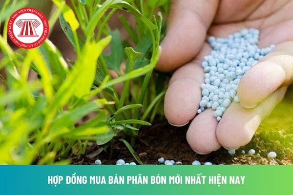 Tải bản word mẫu Hợp đồng mua bán phân bón mới nhất hiện nay? Hợp đồng này gồm những nội dung nào?